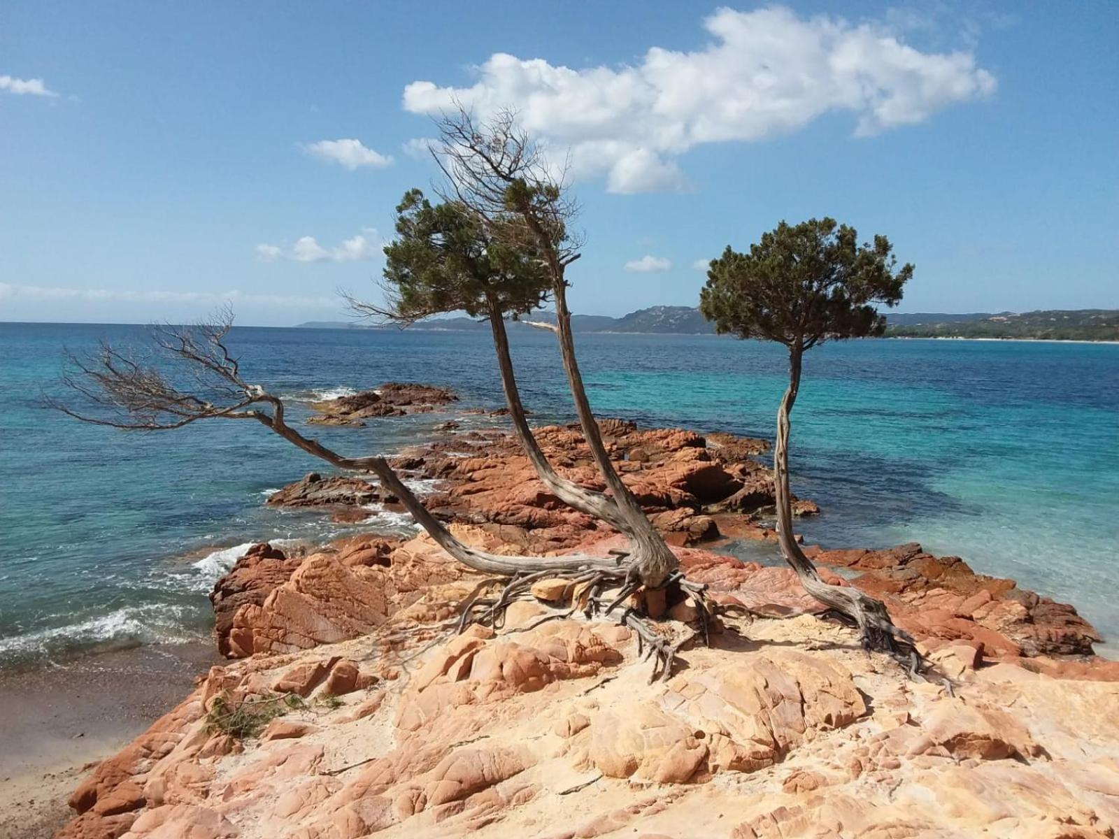 Villa Acqua Doria Coti-Chiavari  Dış mekan fotoğraf