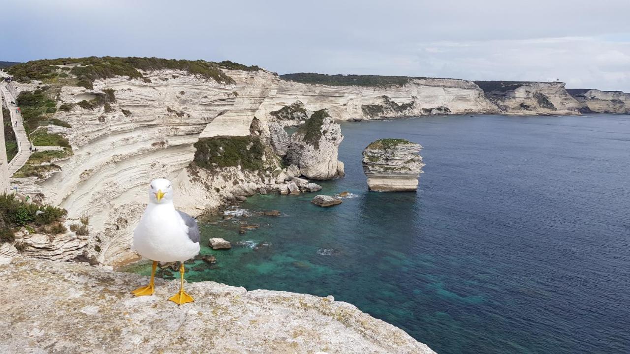 Villa Acqua Doria Coti-Chiavari  Dış mekan fotoğraf