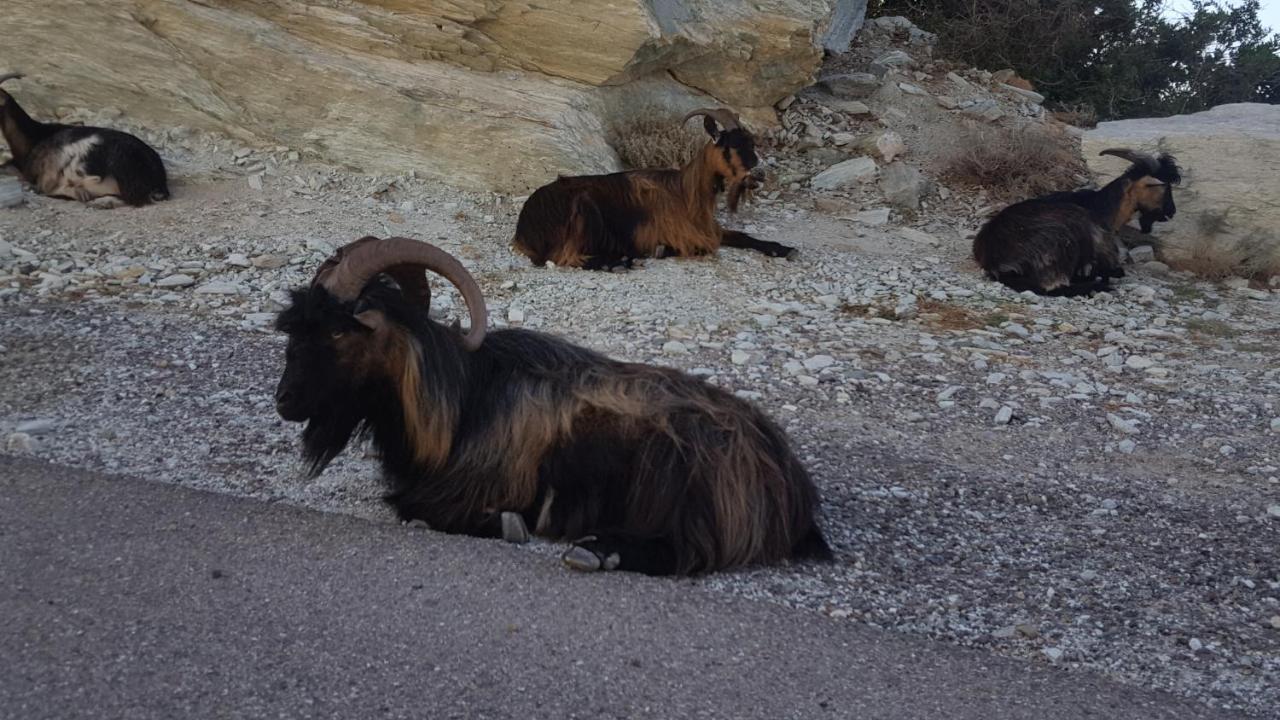 Villa Acqua Doria Coti-Chiavari  Dış mekan fotoğraf
